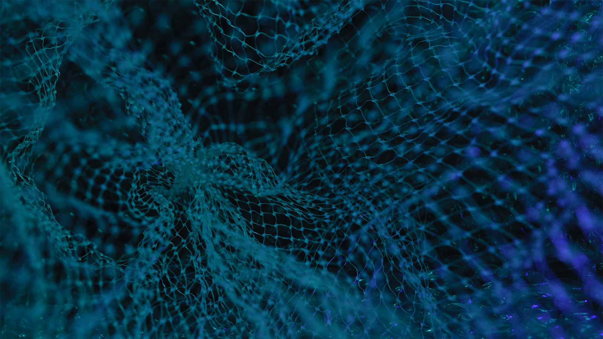 Se former à la blockchain, un indispensable pour se préparer à l'avenir